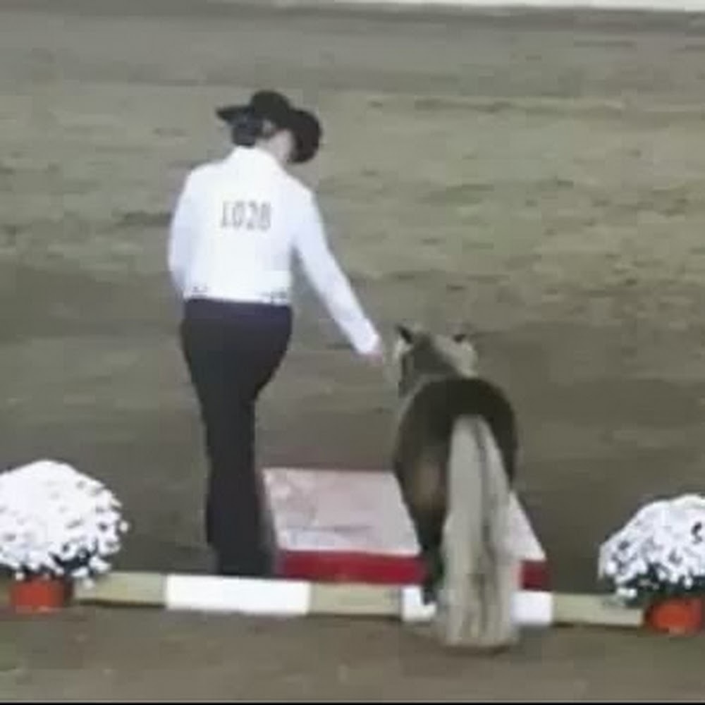 Meet your Posher, Makayla